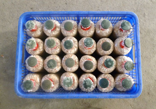 菌種周轉(zhuǎn)筐